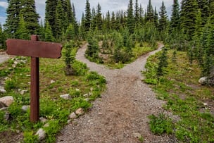 CFP vs CFA Credentials: Two Roads Diverge